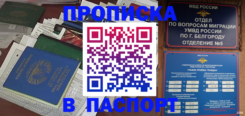 где прописаться в Смоленске